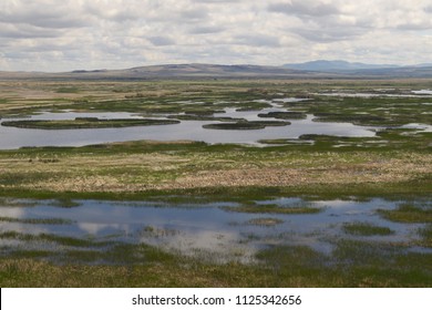 Wetland At Malheur National Wildlife Refuge, Oregon