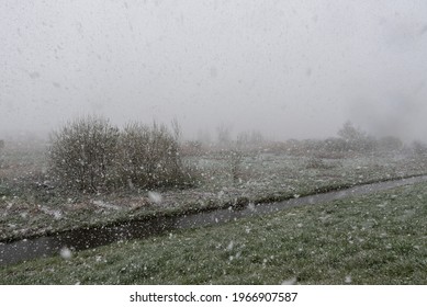 Wetland Nature Reserve With A Creek, Bare Trees, Grass And A Snow Storm