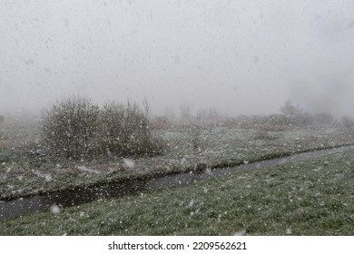 Wetland Nature Reserve Of The River Scheldt With A Snow Storm And Vegetation Near Kalken, Belgium