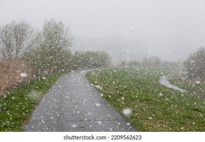 Wetland Nature Reserve Of The River Scheldt With A Snow Storm And Vegetation Near Kalken, Belgium