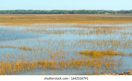 Wetland Nearby Jakyll Island Georgia Usa Stock Photo 1642526788 ...