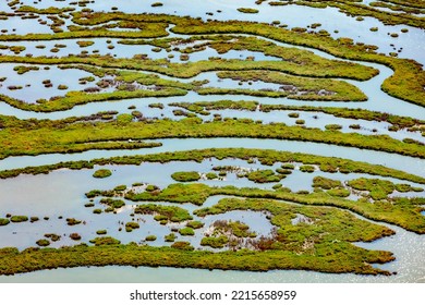 Wetland On The Aegean Coast, Turkey.