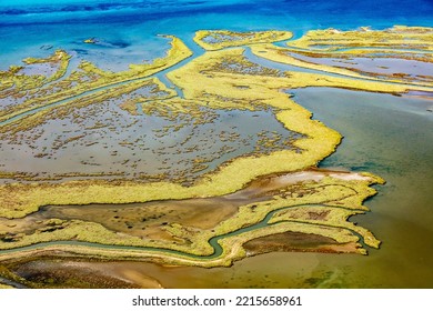 Wetland On The Aegean Coast, Turkey.