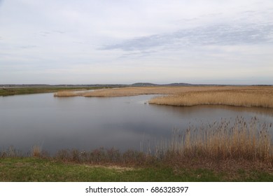 Wetland At Parker River National Wildlife Refuge, Massachusetts