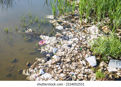 2,873 Polluted Wetland Images, Stock Photos & Vectors | Shutterstock