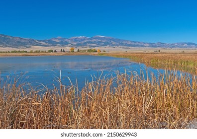 Wetland Pond in a Mountain Valley at the Monte Vista National Wildlife Refuge in Colorado - Shutterstock ID 2150629943