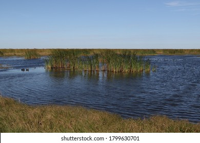 Wetland At San Bernard National Wildlife Refuge, Brazoria, Texas