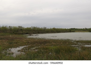 Wetland At Santa Ana National Wildlife Refuge, Texas