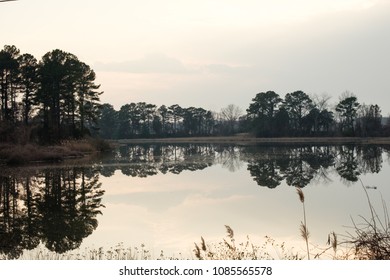 Wetland Scene On Delmarva Peninsula