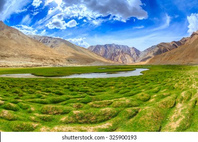 Wetland With Small River Run Throuth, Leh, Ladakh, India