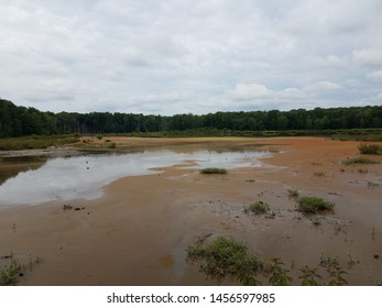 Wetland Or Swamp With Red Algae Bloom And Water