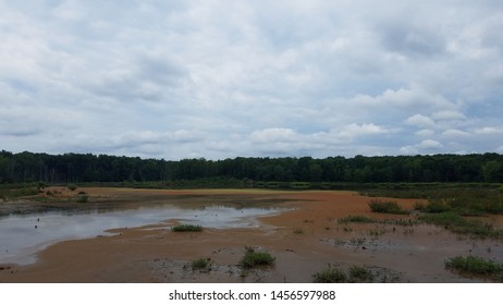 Wetland Or Swamp With Red Algae Bloom And Water