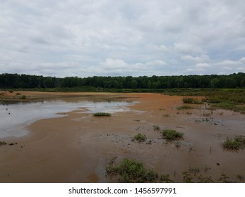 Wetland Or Swamp With Red Algae Bloom And Water