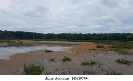 Wetland Or Swamp With Red Algae Bloom And Water