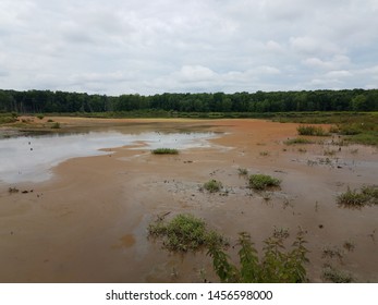 Wetland Or Swamp With Red Algae Bloom And Water