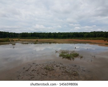 Wetland Or Swamp With Red Algae Bloom And Water