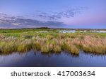Wetland teeming with bird life in natura 2000 area Zuidlaardermeergebied nature reserve