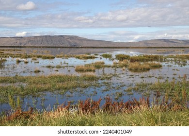 Wetland at Tule Lake National Wildlife Refuge, California