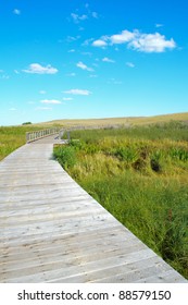 Wetlands Boardwalk In Prairie Lands