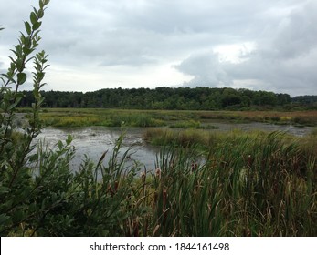 Wetlands In Chautauqua County, New York 