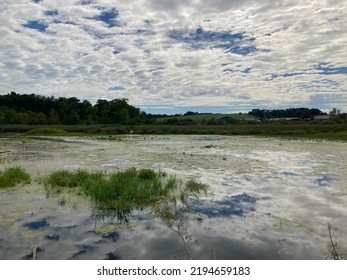 Wetlands In Chautauqua County, New York