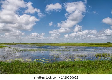 Wetlands Of Coastal Louisiana In Cameron Parish