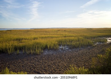 1,733 Virginia Marsh Images, Stock Photos & Vectors | Shutterstock