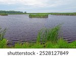 Wetlands and Grasses in a Wildlife Refuge at the Horicon National Wildlife Refuge in Wisconsin