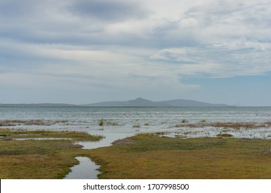 Wetlands Landscape With Aquatic Vegetation And Flamingo Birds. Wetland Conservation Ecology Landscape 