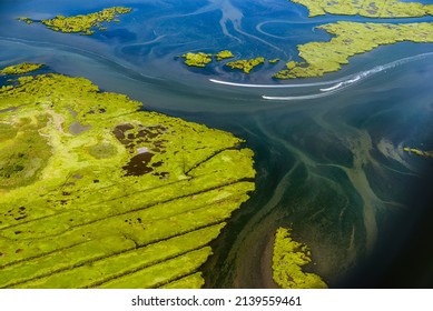 Wetlands Near JFK Airport, New York, USA