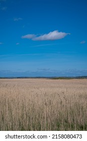 Wetlands Near Glyngøre In Northern Jutland