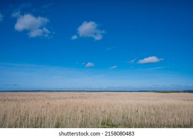 Wetlands Near Glyngøre In Northern Jutland