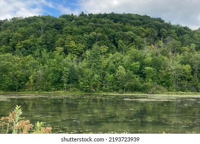 Wetlands In North Western Pennsylvania