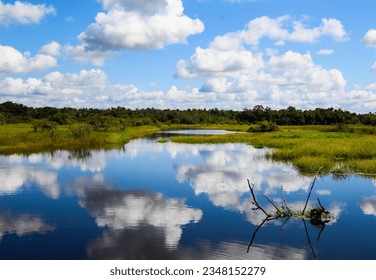wetlands reflections water clouds forest - Powered by Shutterstock