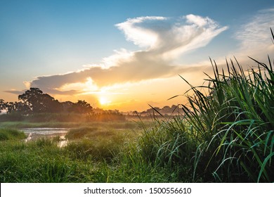 wetlands sunrise in South East Texas