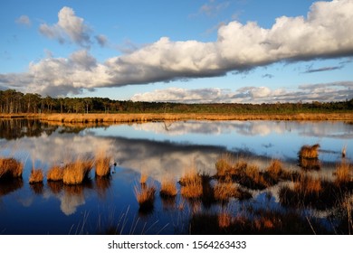 The Wetlands Of Thursley Heath Common, Surrey, In The Evening Winter Sun.