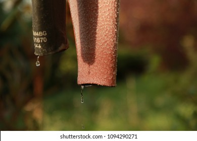 Wetsuit Hanging To Dry