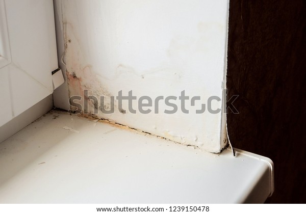 Wetting Growth Molds Window Slope Near Stock Photo Edit Now