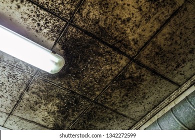 Wet Ceiling Stock Photos Images Photography Shutterstock