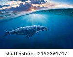 whale in half air (whale)