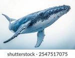 whale isolated on a white background