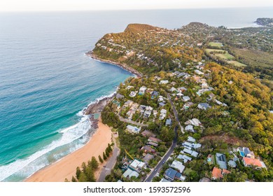 Whale And Palm Beach, Sydney Australia