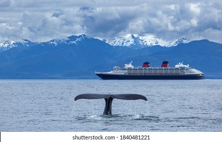  The whale shows the tail    on  cruise  liner and     snow mountains   background, Alaska, the USA