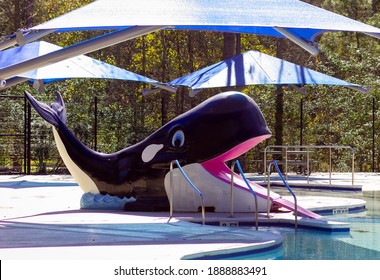 Whale Slide At A Public Pool