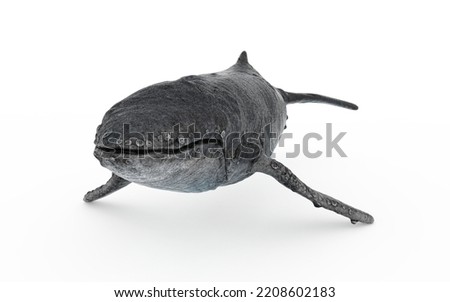 whale swimming on white background