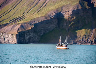 Whale Watching In Husavik In Iceland