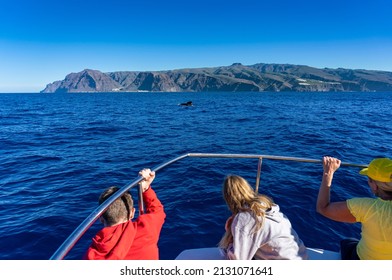 Whale Watching In VALLE GRAN REY, LA GOMERA: Kids Are Looking For Pilot Whales On An Eventful Excursion, Boat Tour