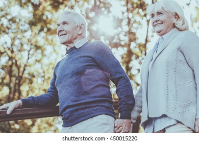 What A Beautiful Day! Happy Senior Couple Holding Hands And Moving Down By Wooden Staircase