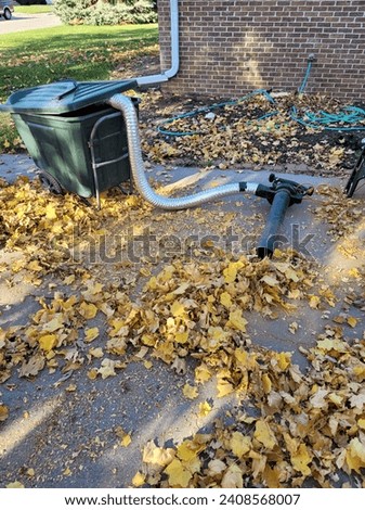 What a crazy leaf contraption