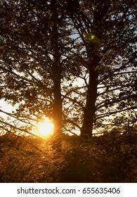 What a nice sunset